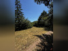 Ma-Cabane - Vente Terrain Saint-Romain-au-Mont-d'Or, 3509 m²