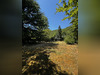 Ma-Cabane - Vente Terrain Saint-Romain-au-Mont-d'Or, 3509 m²