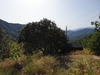 Ma-Cabane - Vente Terrain SAINT ROMAN DE CODIERES, 10700 m²