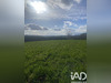 Ma-Cabane - Vente Terrain Saint-Salvi-de-Carcavès, 5182 m²