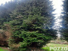 Ma-Cabane - Vente Terrain SAINT-SAMSON-DE-LA-ROQUE, 9580 m²