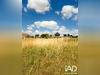 Ma-Cabane - Vente Terrain Saint-Santin, 979 m²