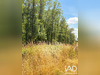 Ma-Cabane - Vente Terrain Saint-Santin, 979 m²