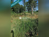Ma-Cabane - Vente Terrain Saint-Savin, 1248 m²