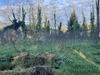 Ma-Cabane - Vente Terrain Saint-Selve, 814 m²