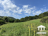 Ma-Cabane - Vente Terrain Saint-Sernin-du-Bois, 1295 m²