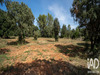 Ma-Cabane - Vente Terrain Saint-Siffret, 450 m²