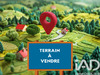 Ma-Cabane - Vente Terrain Saint-Thois, 795 m²