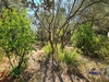 Ma-Cabane - Vente Terrain Saint-Vincent-de-Barbeyrargues, 643 m²