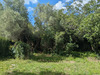 Ma-Cabane - Vente Terrain SAINT VINCENT DE BARBEYRARGUES, 643 m²