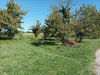 Ma-Cabane - Vente Terrain SAINT VINCENT RIVE D OLT, 1628 m²