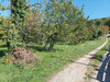 Ma-Cabane - Vente Terrain SAINT VINCENT RIVE D OLT, 1628 m²