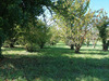 Ma-Cabane - Vente Terrain SAINT VINCENT RIVE D OLT, 1628 m²