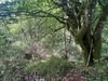 Ma-Cabane - Vente Terrain SAINT YRIEIX LA PERCHE, 29147 m²