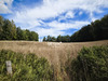 Ma-Cabane - Vente Terrain Saint-Yrieix-la-Perche, 4859 m²