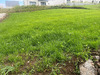 Ma-Cabane - Vente Terrain Saint-Yvi, 480 m²