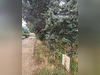 Ma-Cabane - Vente Terrain SAINT-ZACHARIE, 723 m²