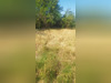 Ma-Cabane - Vente Terrain SAINT-ZACHARIE, 723 m²