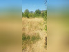 Ma-Cabane - Vente Terrain SAINT-ZACHARIE, 723 m²
