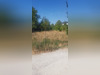 Ma-Cabane - Vente Terrain SAINT-ZACHARIE, 723 m²