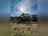 Ma-Cabane - Vente Terrain Sainte-Anastasie-sur-Issole, 5350 m²