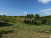 Ma-Cabane - Vente Terrain SAINTE-ANNE, 779 m²