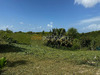 Ma-Cabane - Vente Terrain SAINTE-ANNE, 779 m²