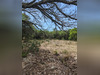 Ma-Cabane - Vente Terrain SAINTE CROIX DE QUINTILLARGUES, 2259 m²