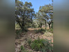 Ma-Cabane - Vente Terrain SAINTE CROIX DE QUINTILLARGUES, 2259 m²