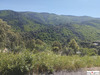 Ma-Cabane - Vente Terrain SAINTE CROIX VALLEE FRANCAISE, 2485 m²
