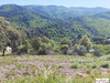 Ma-Cabane - Vente Terrain SAINTE CROIX VALLEE FRANCAISE, 2485 m²