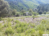 Ma-Cabane - Vente Terrain SAINTE CROIX VALLEE FRANCAISE, 2485 m²