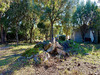 Ma-Cabane - Vente Terrain Sainte-Lucie de Porto-Vecchio, 861 m²