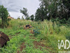 Ma-Cabane - Vente Terrain Sainte-Marie, 580 m²