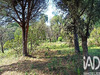 Ma-Cabane - Vente Terrain Sainte-Maxime, 3231 m²