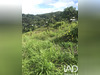 Ma-Cabane - Vente Terrain Sainte Rose, 1501 m²