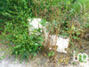 Ma-Cabane - Vente Terrain Salbris, 6210 m²