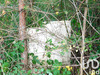 Ma-Cabane - Vente Terrain Salbris, 6210 m²