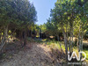 Ma-Cabane - Vente Terrain Salses-le-Château, 5260 m²