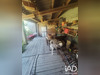 Ma-Cabane - Vente Terrain Salses-le-Château, 130 m²