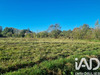 Ma-Cabane - Vente Terrain Samatan, 3700 m²