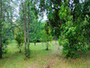 Ma-Cabane - Vente Terrain SAN NICOLAO, 2200 m²