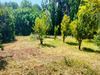 Ma-Cabane - Vente Terrain SAN NICOLAO, 2200 m²