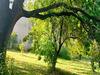 Ma-Cabane - Vente Terrain SAN NICOLAO, 2200 m²