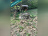 Ma-Cabane - Vente Terrain Sancoins, 1246 m²