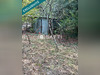 Ma-Cabane - Vente Terrain Sancoins, 1246 m²