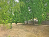 Ma-Cabane - Vente Terrain SANILHAC, 5358 m²