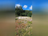 Ma-Cabane - Vente Terrain Sapois, 805 m²