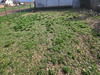 Ma-Cabane - Vente Terrain SARDIEU, 456 m²