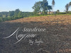 Ma-Cabane - Vente Terrain Sarlat-la-Caneda, 3225 m²